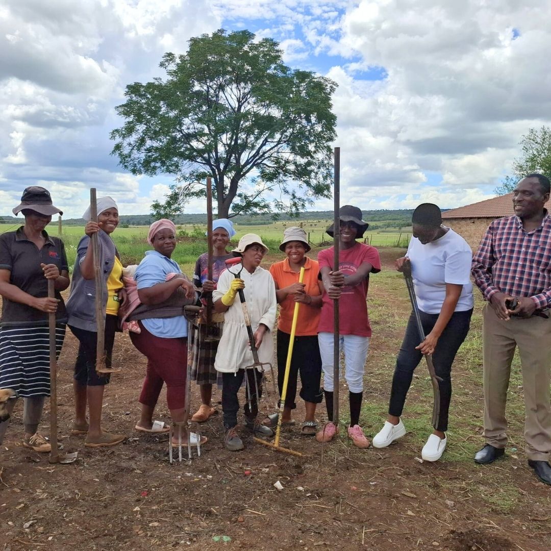 Onverwacht Moestuinen Zuid Afrika 07-2025
